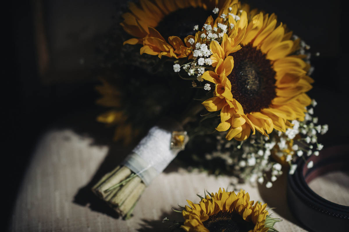 Sonnenblumen